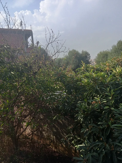 Vente Villa Tizi Ouzou Tizi ouzou