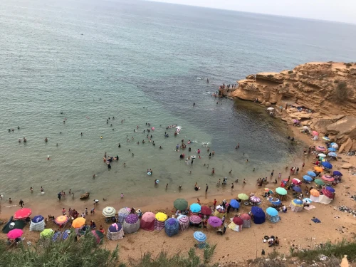 Vente bien immobilier Tipaza Bou haroun