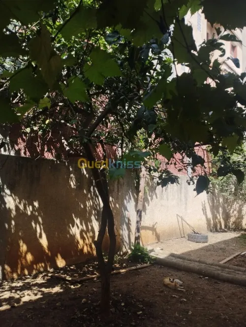 Location Appartement Niveau de villa F3 Jijel Jijel
