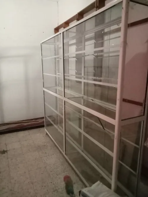 Vitrine+des étagères+2 Comptoir