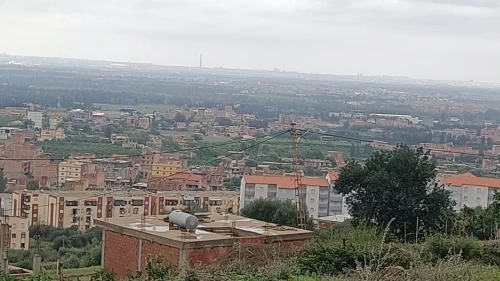 Vente Terrain Blida Ouled selama