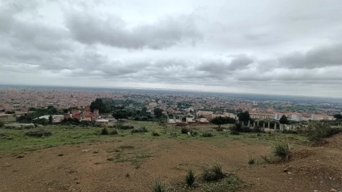 Vente Terrain Blida Ouled selama