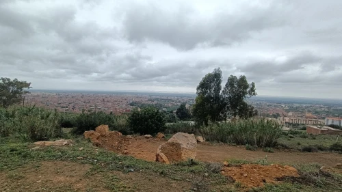 Vente Terrain Blida Ouled selama