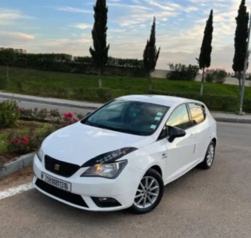 Seat Ibiza 2013 Fully