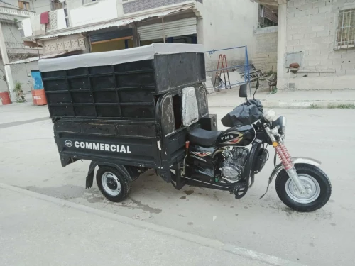 Moto vms 12 " 2025
