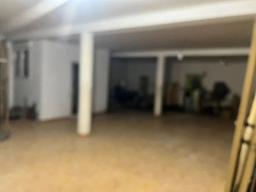 Location Local Tlemcen Mansourah