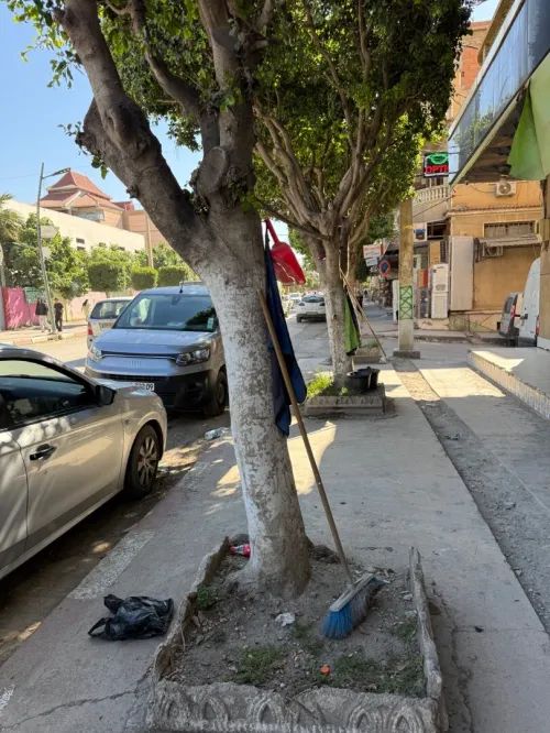 Location Local Blida Bougara