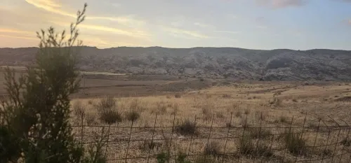Vente Terrain Batna Timgad