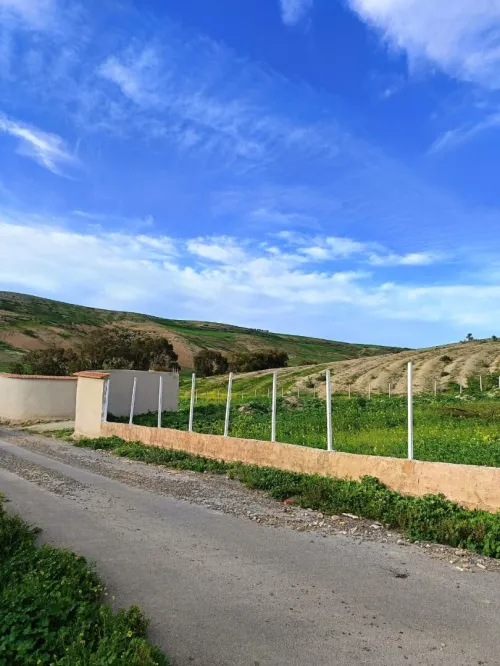 Vente Terrain Agricole Aïn Témouchent Ain kihal
