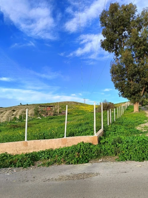 Vente Terrain Agricole Aïn Témouchent Ain kihal