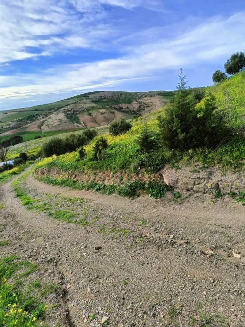 Vente Terrain Agricole Aïn Témouchent Ain kihal