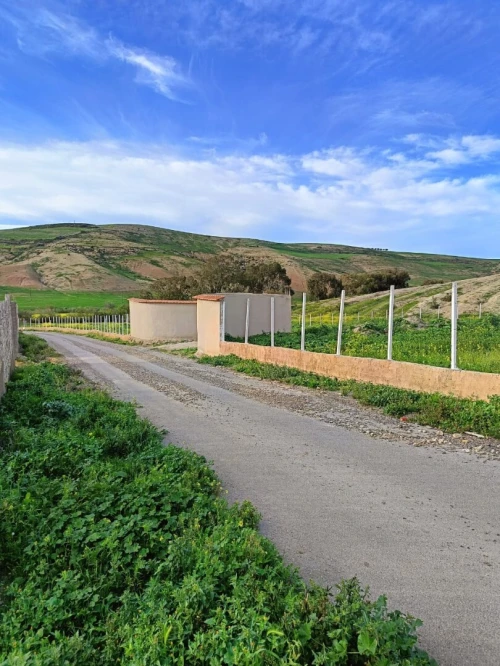 Vente Terrain Agricole Aïn Témouchent Ain kihal