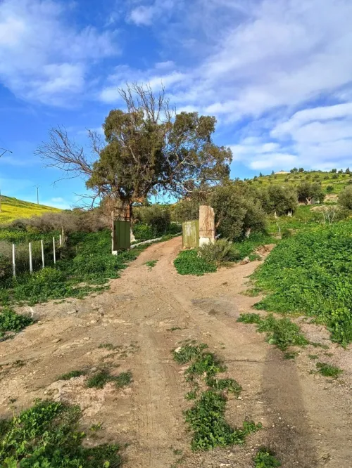 Vente Terrain Agricole Aïn Témouchent Ain kihal