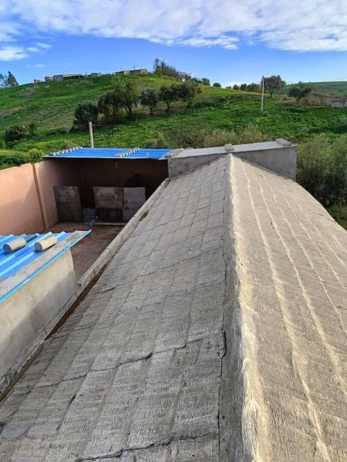 Vente Terrain Agricole Aïn Témouchent Ain kihal