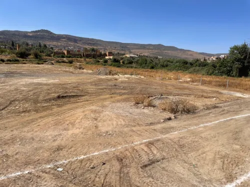 Vente Terrain Tlemcen Mansourah