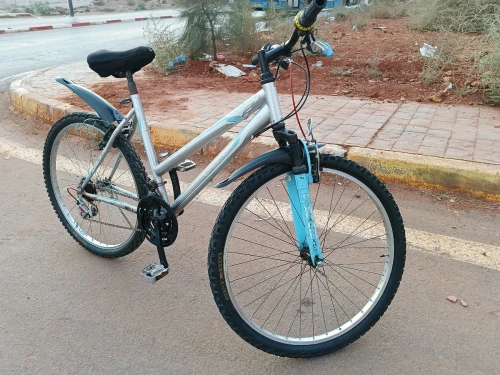 Vélo français