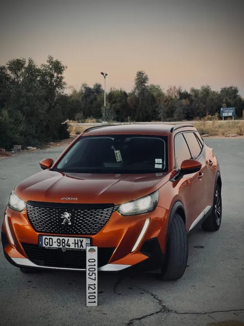 Peugeot 2008 2021 Erg
