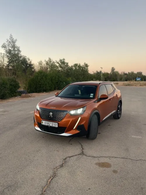 Peugeot 2008 2021 Erg