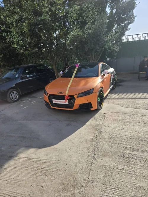 Audi TTS 2015 TTS