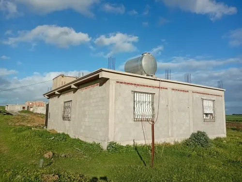 Vente Carcasse Skikda Emdjez edchich