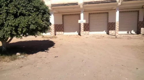 Location Biskra Tolga
