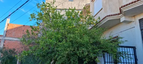 Vente Villa Alger Khraissia