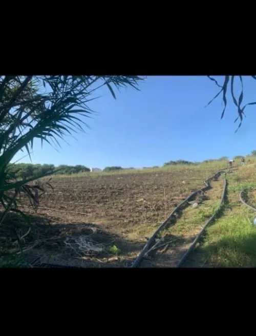 Vente Terrain Agricole Tizi Ouzou Tizi ouzou