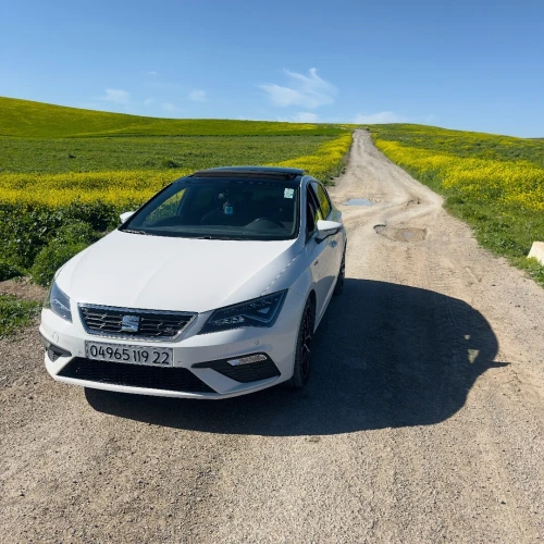 Seat Leon 2019 FR