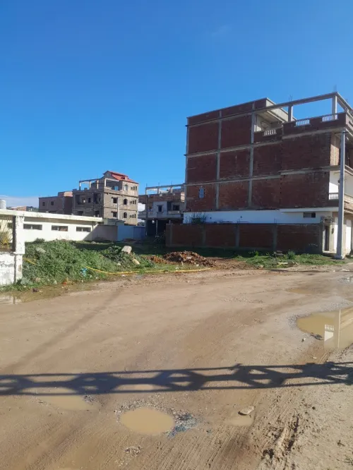 Vente Terrain El Tarf El taref