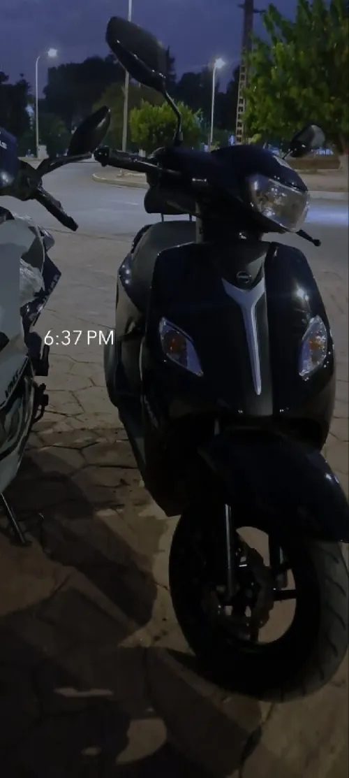 Vms Joci noir 2025
