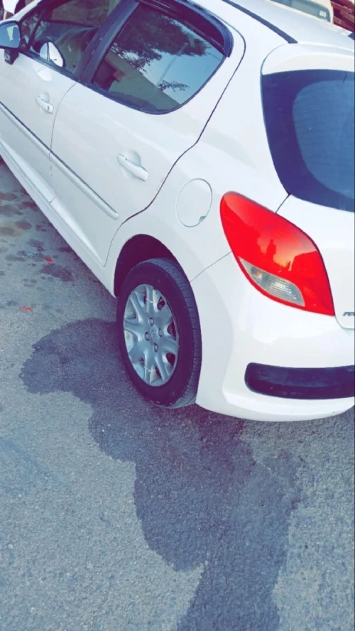 Peugeot 207 plus 2013 207 plus