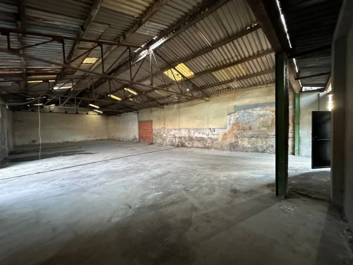 Location Hangar - Usine Alger Les eucalyptus