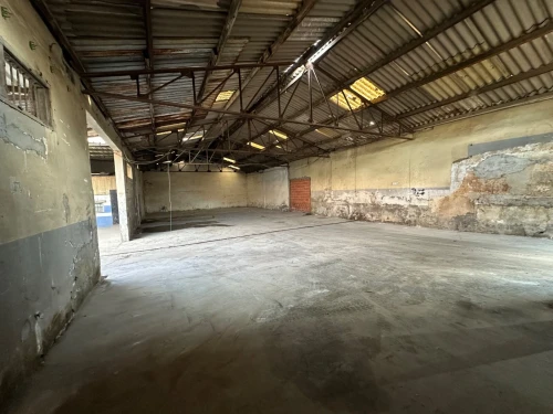 Location Hangar - Usine Alger Les eucalyptus
