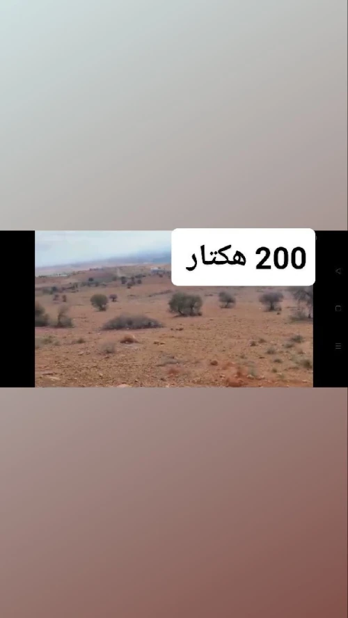 Vente Terrain Tlemcen Maghnia