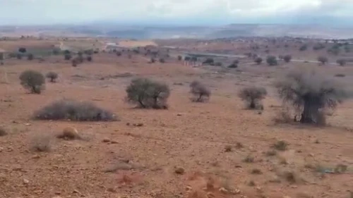 Vente Terrain Tlemcen Maghnia