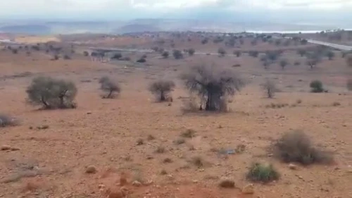 Vente Terrain Tlemcen Maghnia