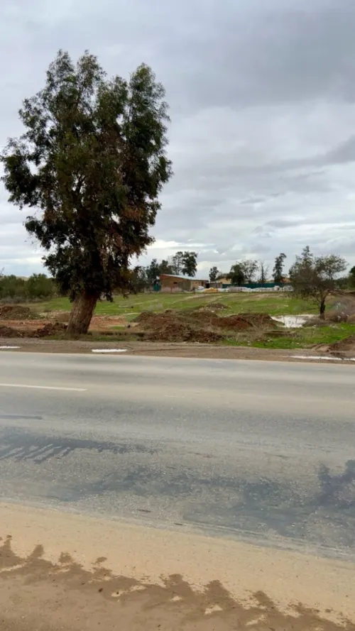 Vente Terrain Relizane Zemmoura