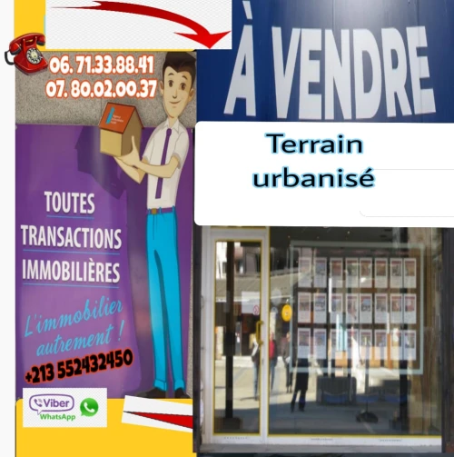 Vente Terrain Alger Baraki