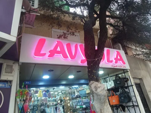 Ensignes lumineuses
