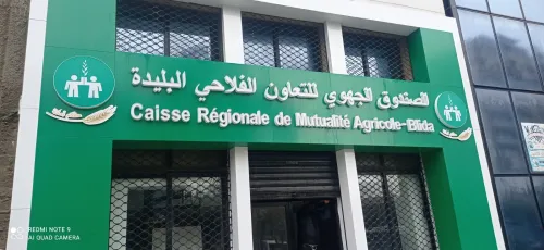 découpe numérique forex