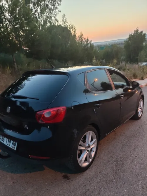 Seat Ibiza 2010 Loca