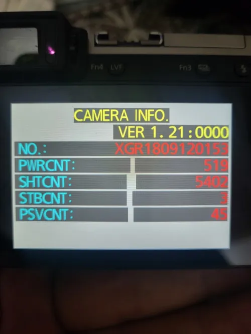 Panasonic Lumix GX80