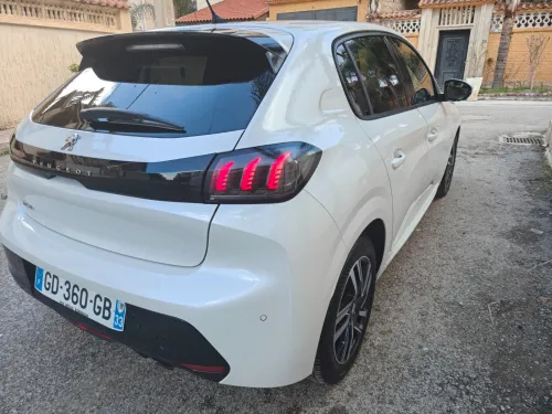 Peugeot 208 2021 Road trip