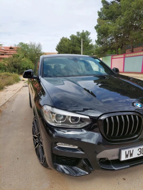 BMW X4 2019 X4