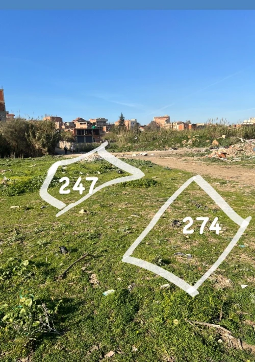 Vente Terrain Alger Dar el beida