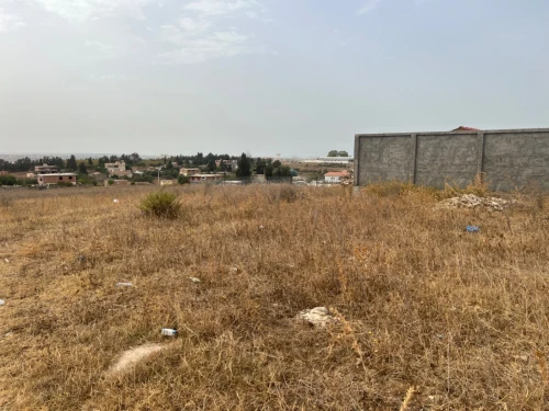 Vente Terrain Boumerdès Tidjelabine