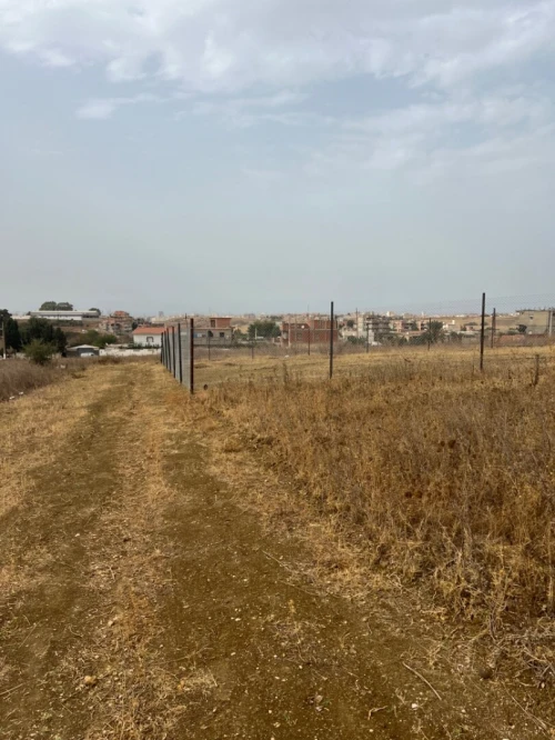 Vente Terrain Boumerdès Tidjelabine 5