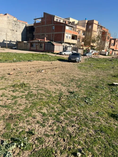 Vente Terrain Alger Bordj el kiffan