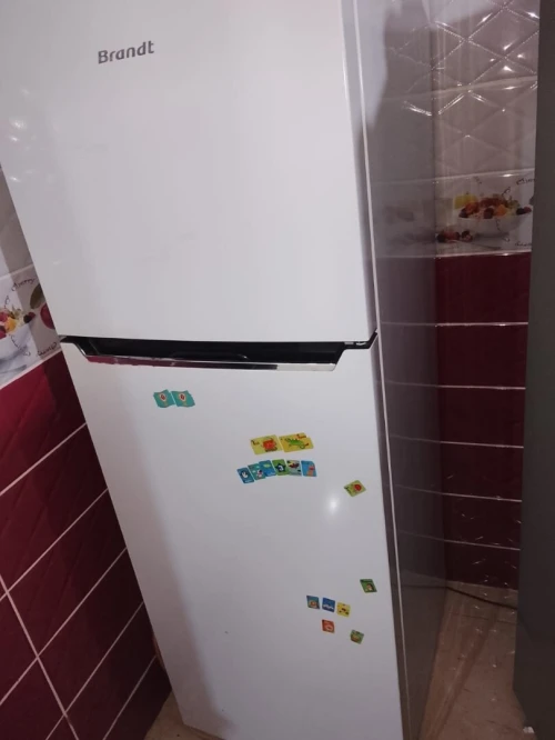 Frigidaire Brandt occasion