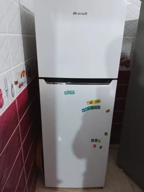 Frigidaire Brandt occasion
